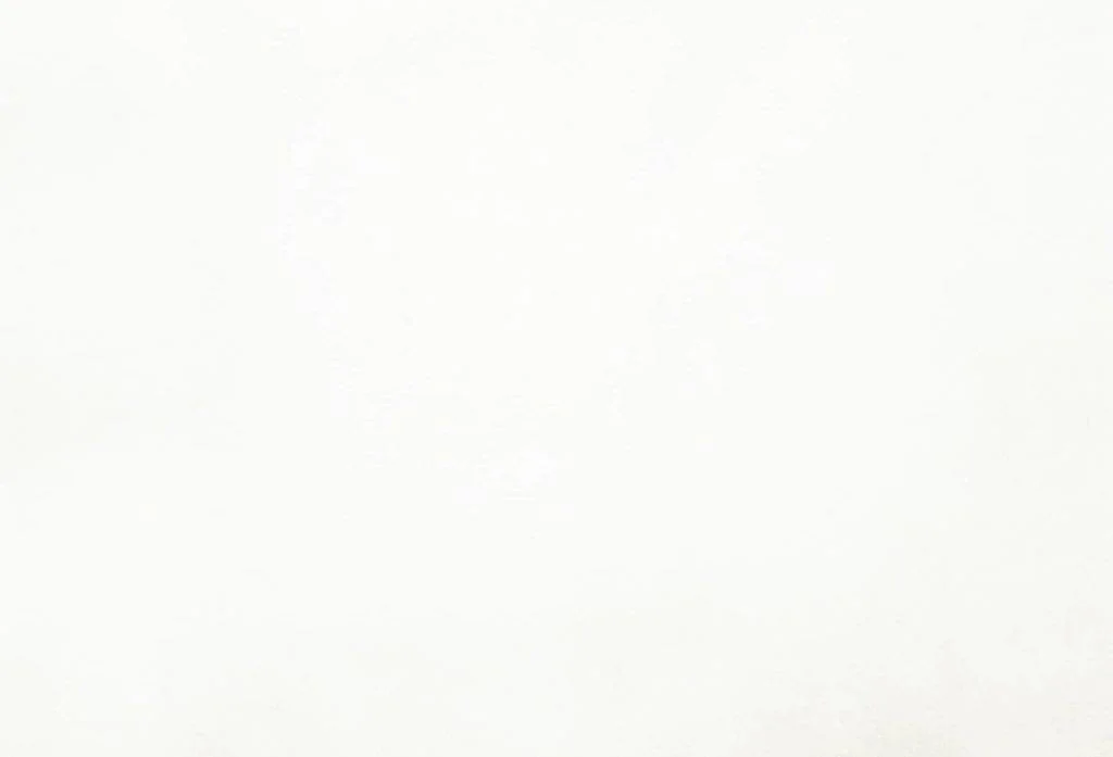 thelightcompany115729