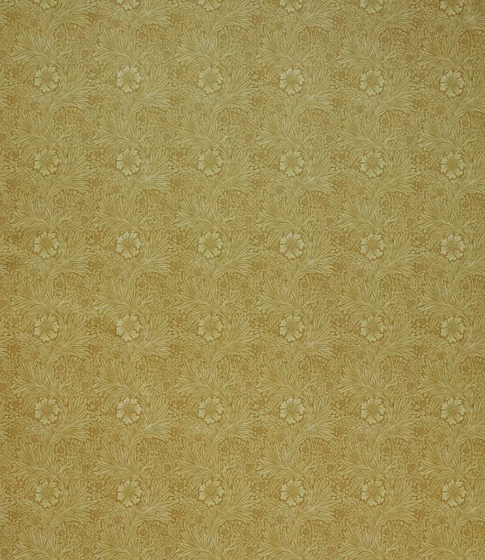 thelightcompany65746