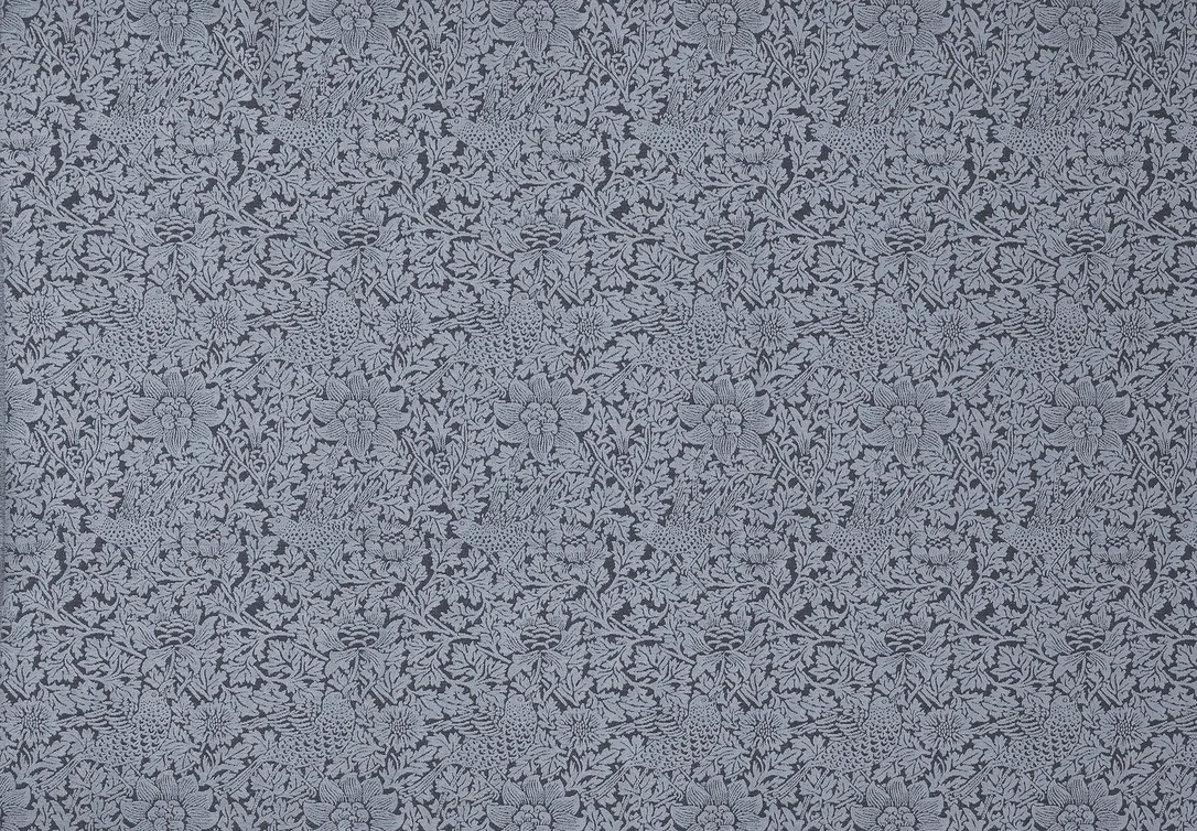 thelightcompany76008